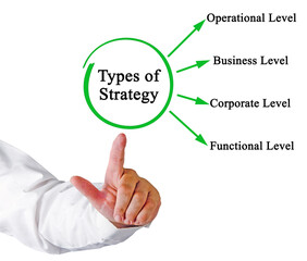 Presenting Four Types of Strategy