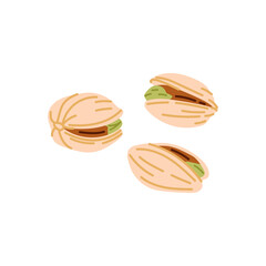 Pistachio nut in shell isolated food snack. Vector pistachio with green seed, vegetarian natural roasted pistache. Unpeeled cracked dried pistache