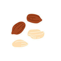 Peanut isolated groundnut peeled cartoon goober nut icon. Vector peanut oil, butter flour ingredient, vegetarian food snack. Pecan bean with edible kernel
