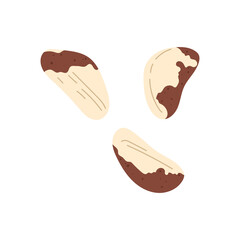 Brazil nut isolated cartoon edible seed with spots. Vector peeled Brazil nut. Vegetarian organic food, nutrition snack dessert, organic healthy superfood