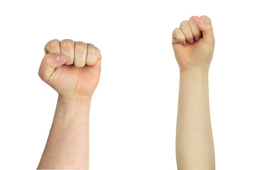male and female fist, protest symbol isolate