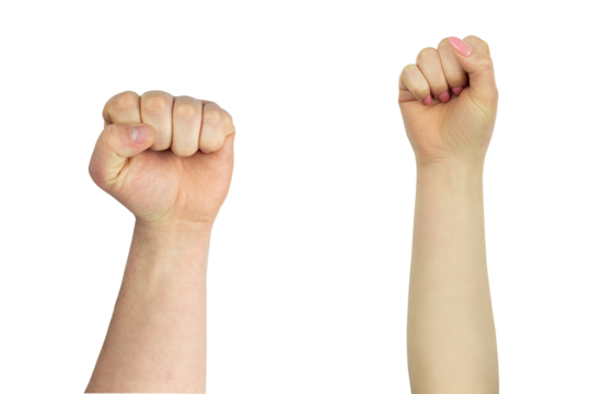 male and female fist, protest symbol isolate