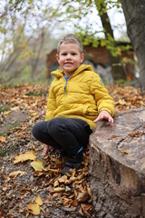 child in autumn forest