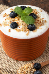 A bowl of natural curd with granola and blueberry.