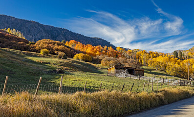Hay Barn In SW Colorado At Fall Time With Colorful Aspen Trees