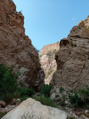 formations in region country