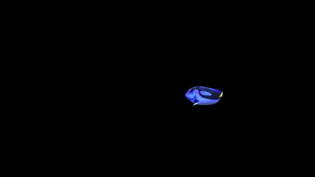 Blue Tang Fish Video with a black background, Fish Animation, Fish Swim Green Screen Video, 3D Animation, Underwater, Single and Group, Near camera, aquatic animals, 4K footage, animated fish