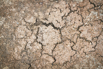 Dried desert land. Cracks in the ground. Dehydrated soil.