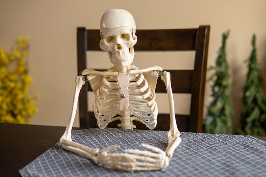 Skeleton sits alone at table in the room. Loneliness concept