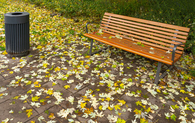 Old Wooden Bench in Autumn Park, Outdoor Wood Benches, Public Furniture