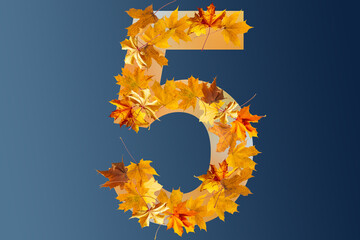 Number five made with autumn leaves isolated on blue