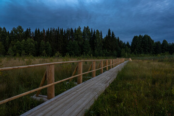 Fototapeta premium Wooden walking dock in the swamp. Morning view