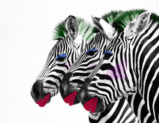 Fototapeta na wymiar zebras with make-up on