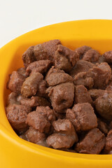 Portion of nutritious meat for a dog  in a plate .