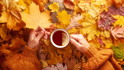 Autumn concept - caucasian woman's hands hold a mug of black tea with lemon on a carpet of fallen autumn leaves, top view