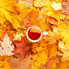 A cup of black tea with lemon on autumn leaves, top view, autumn concept