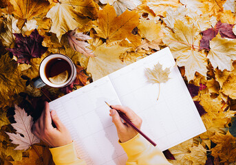 Autumn flat lay - colorful autumn leaves, a cup of tea with lemon, clean week planner, female hands...