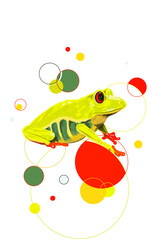 Obraz premium Grüner giftiger Laubfrosch