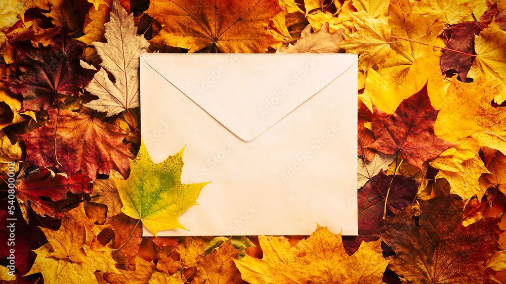 Canvas Prints autumn concept - background of dry fallen autumn leaves with space for text in the middle - an envel