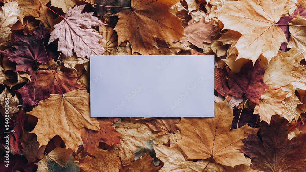 Canvas Prints autumn concept - background of dry fallen autumn leaves with space for text in the middle - blue env