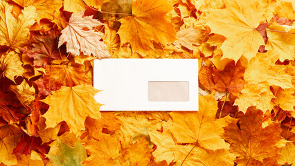 Naklejka na ściany i meble Autumn concept - background of dry fallen autumn leaves with space for text in the middle - an envelope surrounded by autumn leaves, copy space