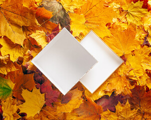 Autumn concept - background of dry fallen autumn leaves with an open gift box in the middle