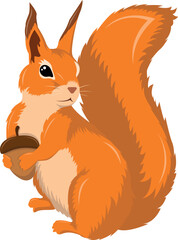 Red forest squirrel with nut, vector graphic