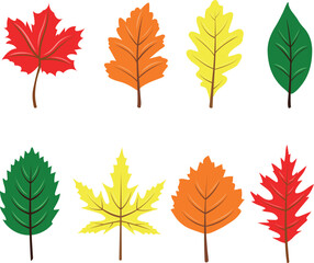 Set of colorful autumn leaves on a transparent background, vector graphics