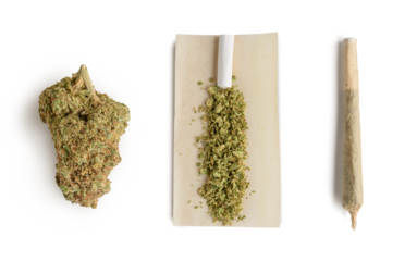 Marijuana bud ,crushed bud of marijuana on the rolling paper and rolling cannabis joint. 