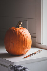 Large orange pumpkin with knife on kitchen counter next to window