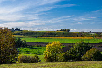 Naklejka premium Autumn view of a valley in Maastricht with an beautiful cloudscape with fluffy clouds of a rolling hill landscape with vineyards in the South of the Netherlands 