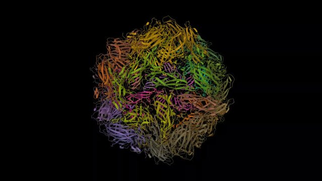 Structure of porcine circovirus 2. Animated 3D cartoon and Gaussian surface models, PDB 3r0r, entity id color scheme, black background