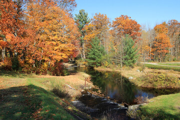 Fall landscape with colorful trees and river