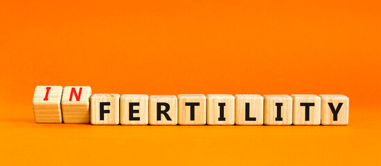 Fertility or infertility symbol. Concept words Fertility or Infertility on wooden cubes. Beautiful...