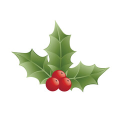 Fototapeta premium Green mistletoe on white background