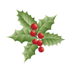 Green mistletoe on white background