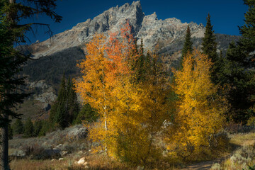 Sunny fall day at Grand teton National Park Wyoming USA
