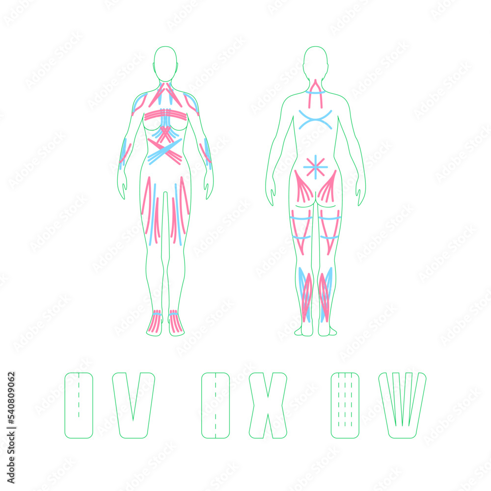Poster kinesio taping concept color thin line element set. vector illustration of kinesio tape for back and