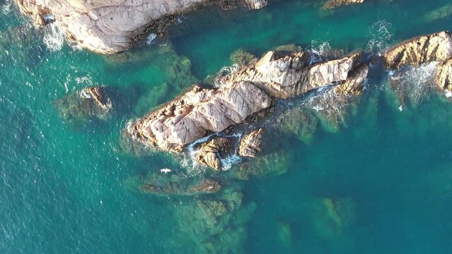mar rocas espa&ntilde;a aves 4K