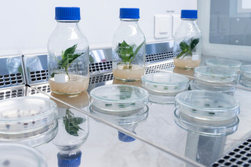 Close-up of the test tube. Glass products of medical care. High quality photo