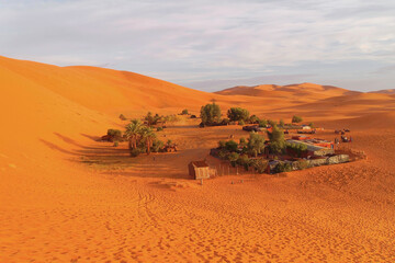 Desert camp among the palms in the Sahara desert, Morocco