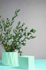 Mint cube podium and branches of eucalyptus parfivolia. Mockup for presentation cosmetic products.