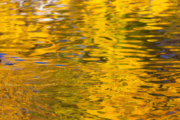 Abstract autumn blurred background. Water surface with reflections of autumn leaves. Delicate...