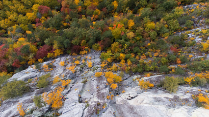 Seneca rock (fall color) - West Virginia