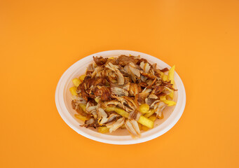 french fries with chicken kebab