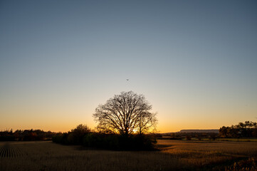 Sunset in Halton Region, Milton Ontario with Niagara escarpment in the background with small airplane approaching Burlington Executive Airpark Airport