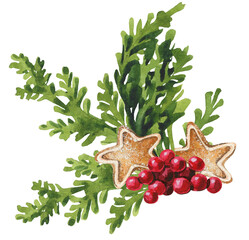 Christmas arrangement. Thuja branches, gingerbreads and cranberries. Cut out hand drawn PNG illustration on transparent background. Water colour clipart drawing.