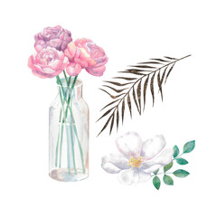 Rose hip Painted by hand in watercolor. Designed for advertising, printing, web, beauty studios, fitness centers, women's clubs