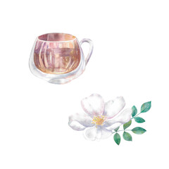 Rose hip Painted by hand in watercolor. Designed for advertising, printing, web, beauty studios, fitness centers, women's clubs