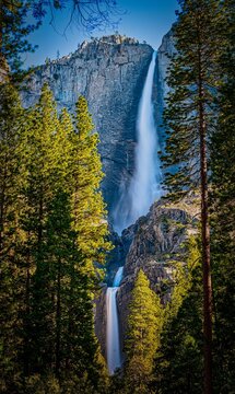 Vertical Shot Of Yosemite Falls In Yosemite National Park